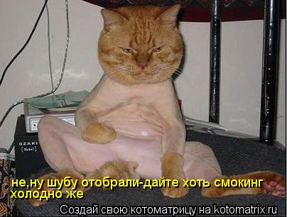 не,ну шубу отобрали-дайте хоть смокинг холодно же... Котоматрица: не,ну шубу отобрали-дайте хоть смокинг холодно же
