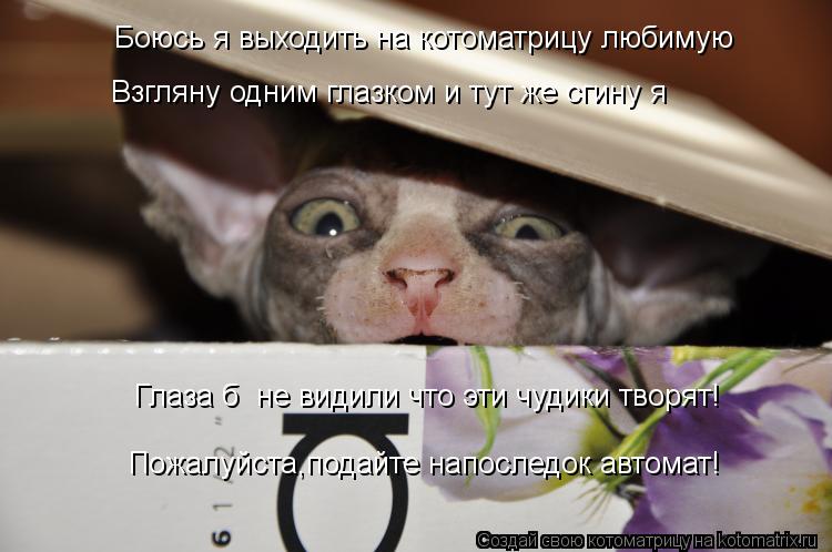 Боюсь я выходить на котоматрицу любимую Взгляну одним глазком и тут же сгину я Глаза б не видили чт... Котоматрица: Боюсь я выходить на котоматрицу любимую Взгляну одним глазком и тут же сгину я Глаза б не видили что эти чудики творят! Пожалуйста,подайте