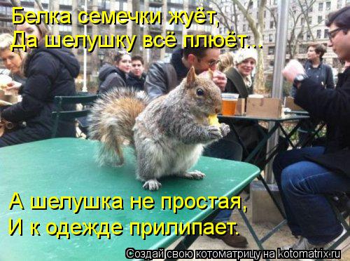 Белка семечки жуёт, Да шелушку всё плюёт... А шелушка не простая, И к одежде прилипает.... Котоматрица: Белка семечки жуёт, Да шелушку всё плюёт... А шелушка не простая, И к одежде прилипает.
