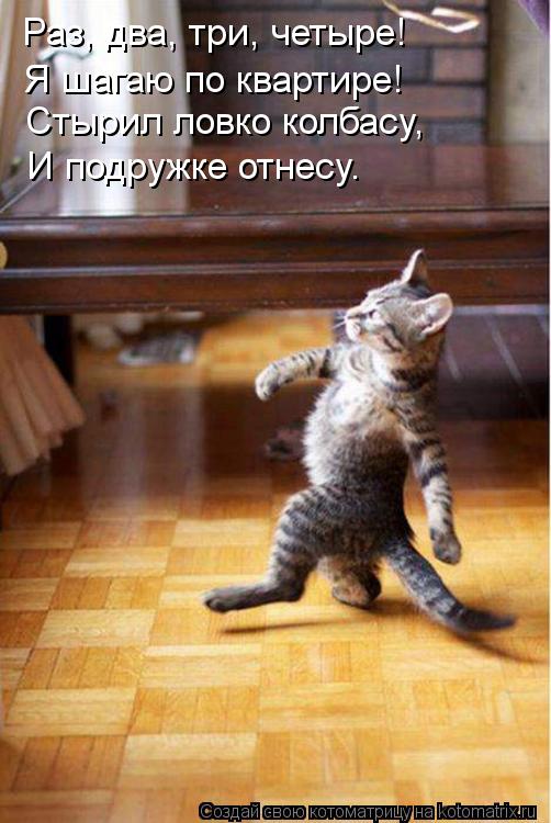 Раз, два, три, четыре! Я шагаю по квартире! Стырил ловко колбасу, И подружке отнесу.... Котоматрица: Раз, два, три, четыре! Я шагаю по квартире! Стырил ловко колбасу, И подружке отнесу.