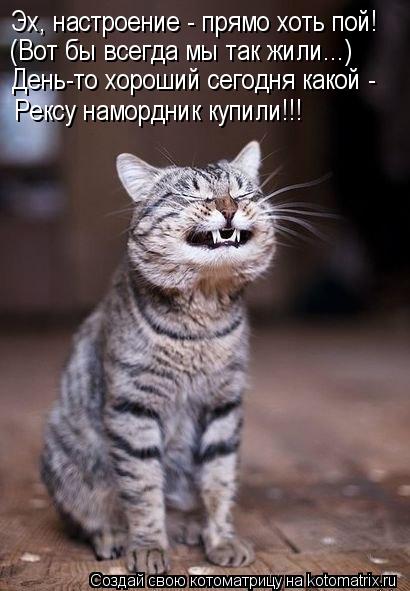 Эх, настроение - прямо хоть пой! (Вот бы всегда мы так жили...) День-то хороший сегодня какой - Рексу... Котоматрица: Эх, настроение - прямо хоть пой! (Вот бы всегда мы так жили...) День-то хороший сегодня какой - Рексу намордник купили!!!