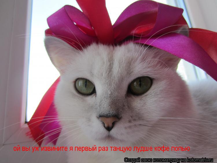 ой вы уж извините я первый раз танцую лудше кофе попью... Котоматрица: ой вы уж извините я первый раз танцую лудше кофе попью