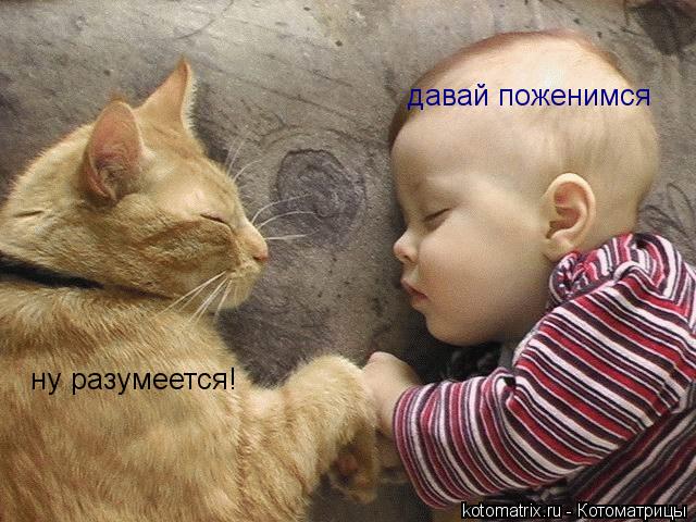 ну разумеется! давай поженимся... Котоматрица: ну разумеется! давай поженимся