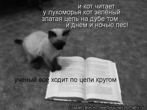 и кот читает у лукоморья кот зелёный златая цепь на дубе том и днем и ночью пес! ученый все ходит по... Котоматрица: и кот читает у лукоморья кот зелёный златая цепь на дубе том и днем и ночью пес! ученый все ходит по цепи кругом