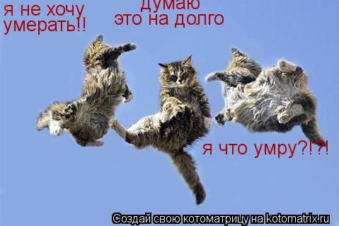 я не хочу умерать!! думаю это на долго я что умру?!?!... Котоматрица: я не хочу умерать!! думаю это на долго я что умру?!?!