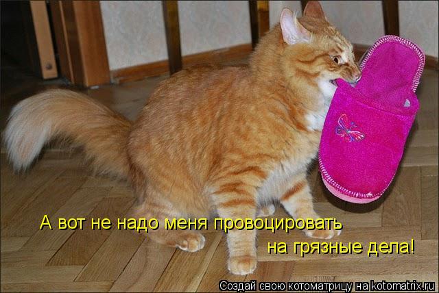 А вот не надо меня провоцировать на грязные дела!... Котоматрица: А вот не надо меня провоцировать на грязные дела!