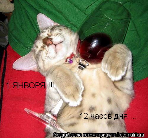 1 ЯНВОРЯ !!! 12 часов дня ...... Котоматрица: 1 ЯНВОРЯ !!! 12 часов дня ...