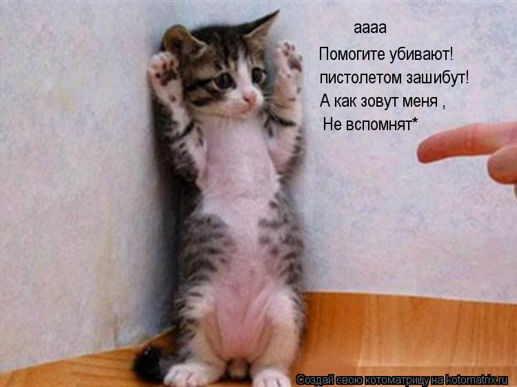 аааа Помогите убивают! пистолетом зашибут! А как зовут меня , Не вспомнят*... Котоматрица: аааа Помогите убивают! пистолетом зашибут! А как зовут меня , Не вспомнят*