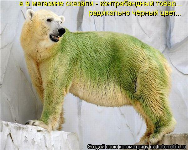 а в магазине сказали - контрабандный товар... радикально чёрный цвет...... Котоматрица: а в магазине сказали - контрабандный товар... радикально чёрный цвет...