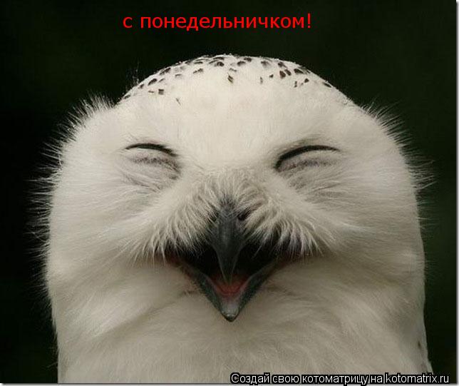 с понедельничком!... Котоматрица: с понедельничком!