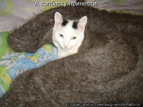 А колбаску принести!... Котоматрица: А колбаску принести!