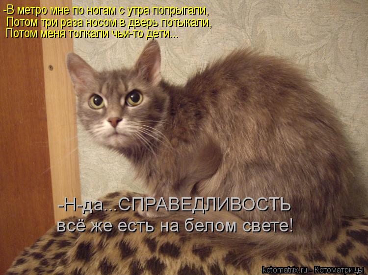 -В метро мне по ногам с утра попрыгали, Потом три раза носом в дверь потыкали, Потом меня толкали чьи... Котоматрица: -В метро мне по ногам с утра попрыгали, Потом три раза носом в дверь потыкали, Потом меня толкали чьи-то дети... -Н-да...СПРАВЕДЛИВОСТЬ всё же ес