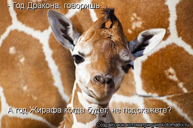 - Год Дракона, говоришь.... А год Жирафа когда будет, не подскажете?... Котоматрица: - Год Дракона, говоришь.... А год Жирафа когда будет, не подскажете?