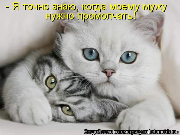 - Я точно знаю, когда моему мужу нужно промолчать!... Котоматрица: - Я точно знаю, когда моему мужу нужно промолчать!