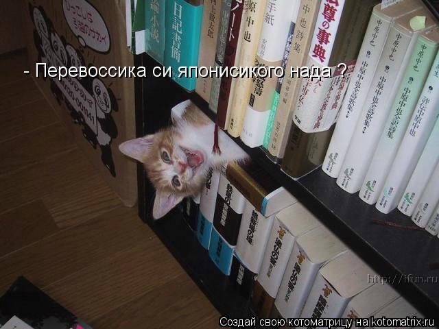 - Перевоссика си японисикого нада ?... Котоматрица: - Перевоссика си японисикого нада ?