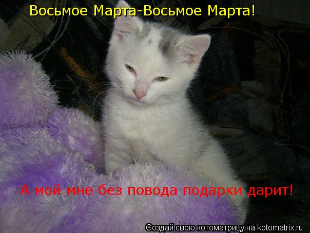 Восьмое Марта-Восьмое Марта! А мой мне без повода подарки дарит!... Котоматрица: Восьмое Марта-Восьмое Марта! А мой мне без повода подарки дарит!