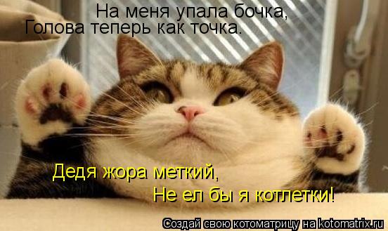 На меня упала бочка, Голова теперь как точка. Дедя жора меткий, Не ел бы я котлетки!... Котоматрица: На меня упала бочка, Голова теперь как точка. Дедя жора меткий, Не ел бы я котлетки!