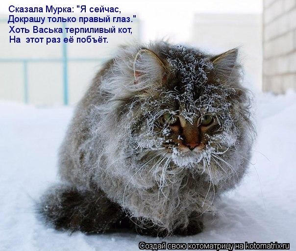 Сказала Мурка: "Я сейчас, Докрашу только правый глаз." Хоть Васька терпиливый кот, На этот раз её по... Котоматрица: Сказала Мурка: "Я сейчас, Докрашу только правый глаз." Хоть Васька терпиливый кот, На этот раз её побъёт.