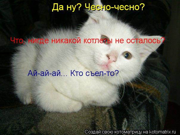 Да ну? Чесно-чесно? Что, нигде никакой котлеты не осталось? Ай-ай-ай... Кто съел-то?... Котоматрица: Да ну? Чесно-чесно? Что, нигде никакой котлеты не осталось? Ай-ай-ай... Кто съел-то?