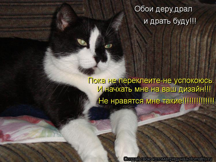 Обои деру,драл и драть буду!!! И начхать мне на ваш дизайн!!! Не нравятся мне такие!!!!!!!!!!!!!! Пок... Котоматрица: Обои деру,драл и драть буду!!! И начхать мне на ваш дизайн!!! Не нравятся мне такие!!!!!!!!!!!!!! Пока не переклеите-не успокоюсь.