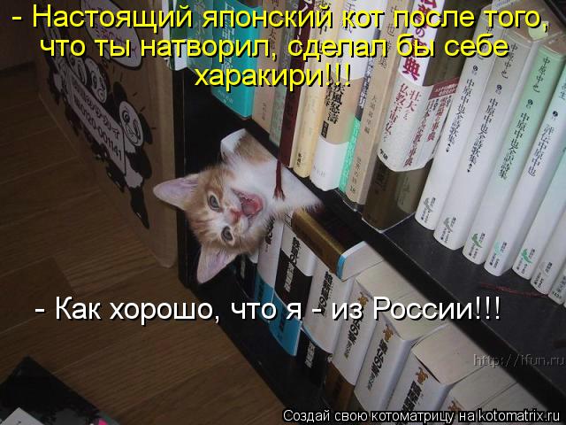 - Настоящий японский кот после того, что ты натворил, сделал бы себе харакири!!! - Как хорошо, что я ... Котоматрица: - Настоящий японский кот после того, что ты натворил, сделал бы себе харакири!!! - Как хорошо, что я - из России!!!