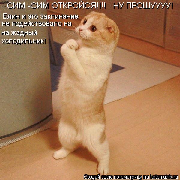 СИМ -СИМ ОТКРОЙСЯ!!!! НУ ПРОШУУУУ! не подействовало на Блин и это заклинание на жадный холодильник... Котоматрица: СИМ -СИМ ОТКРОЙСЯ!!!! НУ ПРОШУУУУ! не подействовало на Блин и это заклинание на жадный холодильник!