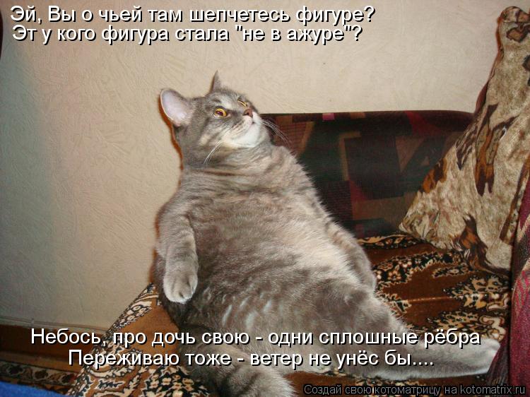 Эй, Вы о чьей там шепчетесь фигуре? Эт у кого фигура стала "не в ажуре"? Небось, про дочь свою - одни... Котоматрица: Эй, Вы о чьей там шепчетесь фигуре? Эт у кого фигура стала "не в ажуре"? Небось, про дочь свою - одни сплошные рёбра Переживаю тоже - ветер не ун