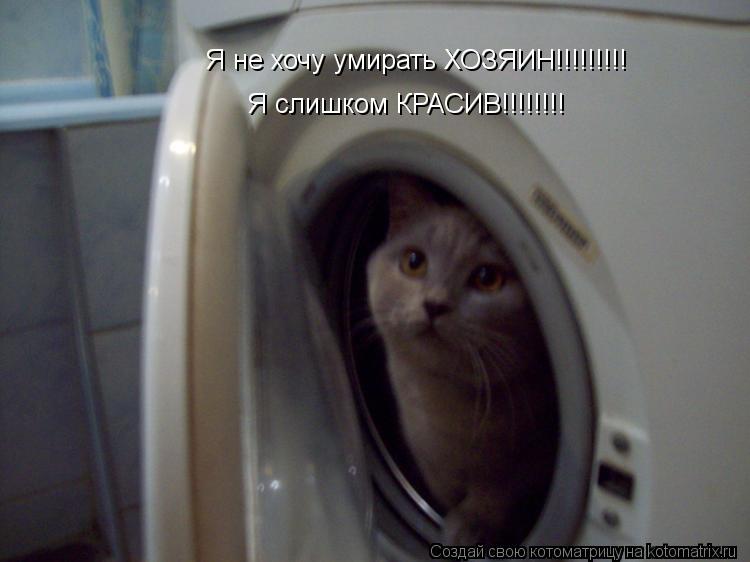 Я не хочу умирать ХОЗЯИН!!!!!!!!! Я слишком КРАСИВ!!!!!!!!... Котоматрица: Я не хочу умирать ХОЗЯИН!!!!!!!!! Я слишком КРАСИВ!!!!!!!!