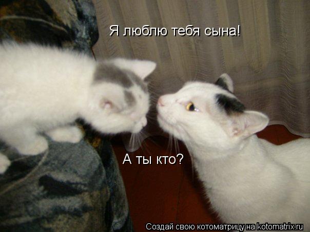Котоматрица: А ты кто? Я люблю тебя сына!