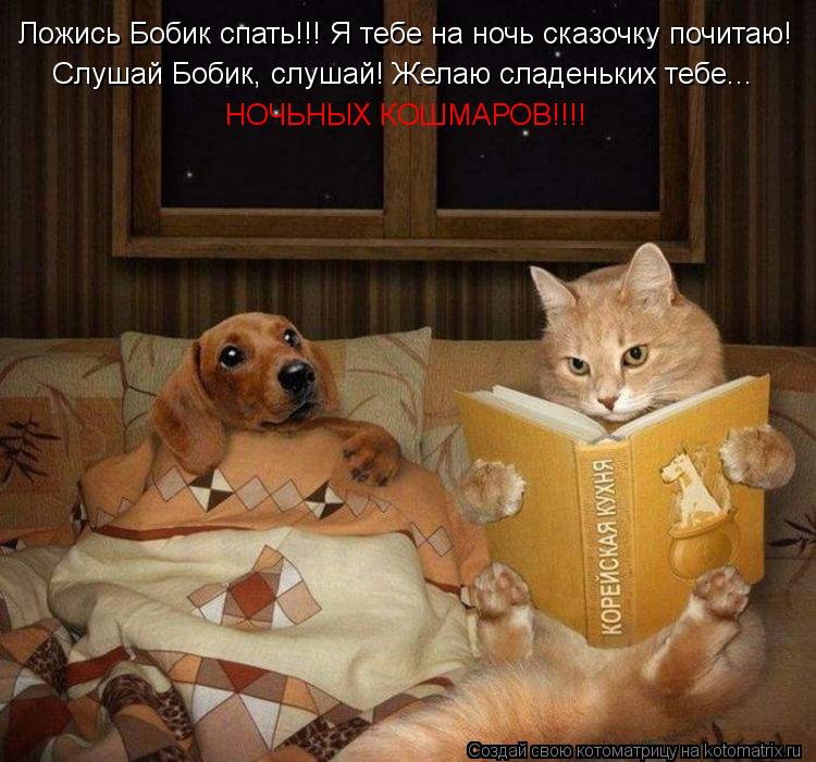 Ложись Бобик спать!!! Я тебе на ночь сказочку почитаю! Слушай Бобик, слушай! Желаю сладеньких тебе...... Котоматрица: Ложись Бобик спать!!! Я тебе на ночь сказочку почитаю! Слушай Бобик, слушай! Желаю сладеньких тебе... НОЧЬНЫХ КОШМАРОВ!!!!