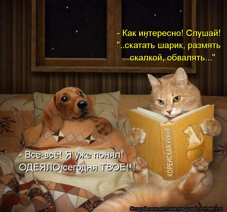 - Как интересно! Слушай! "..скатать шарик, размять скалкой, обвалять..." - Всё-всё! Я уже понял! ОДЕЯ... Котоматрица: - Как интересно! Слушай! "..скатать шарик, размять скалкой, обвалять..." - Всё-всё! Я уже понял! ОДЕЯЛО сегодня ТВОЕ!!!