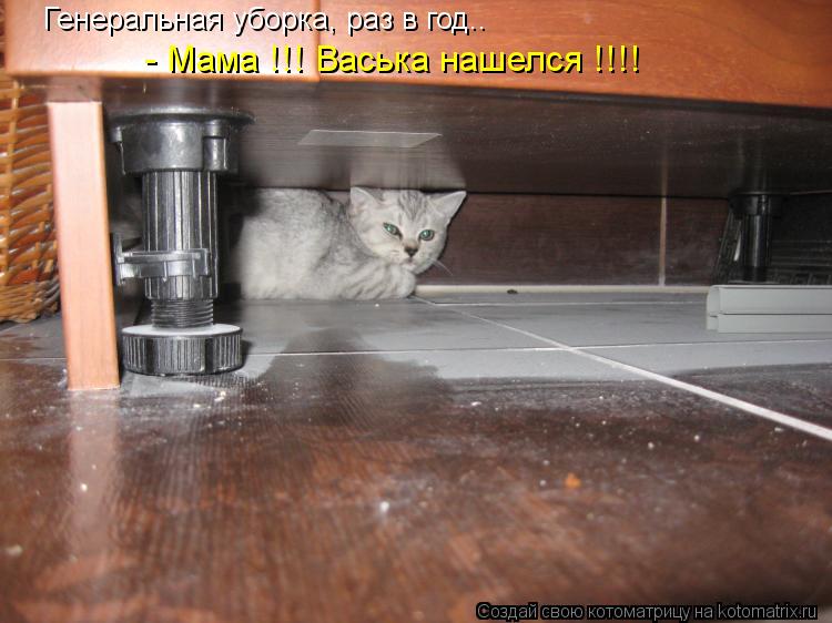Генеральная уборка, раз в год.. - Мама !!! Васька нашелся !!!!... Котоматрица: Генеральная уборка, раз в год.. - Мама !!! Васька нашелся !!!!