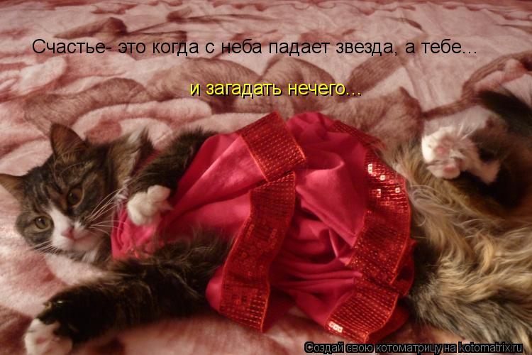 Счастье- это когда с неба падает звезда, а тебе... и загадать нечего...... Котоматрица: Счастье- это когда с неба падает звезда, а тебе... и загадать нечего...