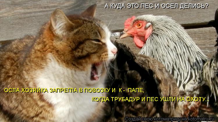 А КУДА ЭТО ПЕС И ОСЕЛ ДЕЛИСЬ? ОСЛА ХОЗЯЙКА ЗАПРЕГЛА В ПОВОЗКУ И К - ПАПЕ, КОГДА ТРУБАДУР И ПЕС УШЛИ... Котоматрица: А КУДА ЭТО ПЕС И ОСЕЛ ДЕЛИСЬ? ОСЛА ХОЗЯЙКА ЗАПРЕГЛА В ПОВОЗКУ И К - ПАПЕ, КОГДА ТРУБАДУР И ПЕС УШЛИ НА ОХОТУ...
