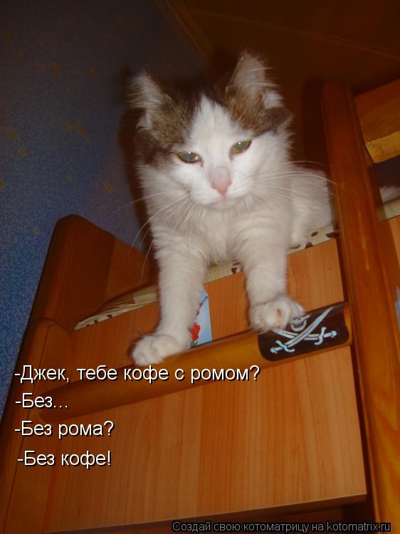 -Джек, тебе кофе с ромом? -Без... -Без рома? -Без кофе!... Котоматрица: -Джек, тебе кофе с ромом? -Без... -Без рома? -Без кофе!