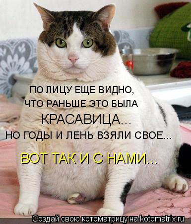 ПО ЛИЦУ ЕЩЕ ВИДНО, ЧТО РАНЬШЕ ЭТО БЫЛА КРАСАВИЦА... НО ГОДЫ И ЛЕНЬ ВЗЯЛИ СВОЕ... ВОТ ТАК И С НАМИ...... Котоматрица: ПО ЛИЦУ ЕЩЕ ВИДНО, ЧТО РАНЬШЕ ЭТО БЫЛА КРАСАВИЦА... НО ГОДЫ И ЛЕНЬ ВЗЯЛИ СВОЕ... ВОТ ТАК И С НАМИ...