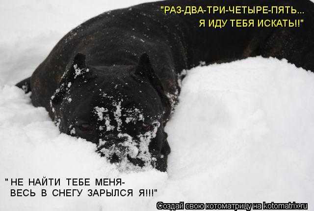 "РАЗ-ДВА-ТРИ-ЧЕТЫРЕ-ПЯТЬ... Я ИДУ ТЕБЯ ИСКАТЬ!!" " НЕ НАЙТИ ТЕБЕ МЕНЯ- ВЕСЬ В СНЕГУ ЗАРЫЛСЯ Я!... Котоматрица: "РАЗ-ДВА-ТРИ-ЧЕТЫРЕ-ПЯТЬ... Я ИДУ ТЕБЯ ИСКАТЬ!!" " НЕ НАЙТИ ТЕБЕ МЕНЯ- ВЕСЬ В СНЕГУ ЗАРЫЛСЯ Я!!!"