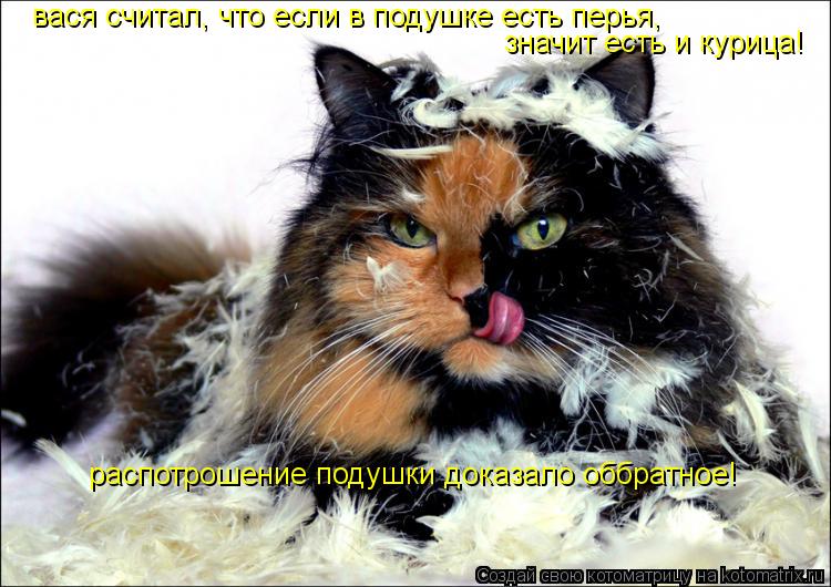 вася считал, что если в подушке есть перья, значит есть и курица! распотрошение подушки доказало оббр... Котоматрица: вася считал, что если в подушке есть перья, значит есть и курица! распотрошение подушки доказало оббратное!