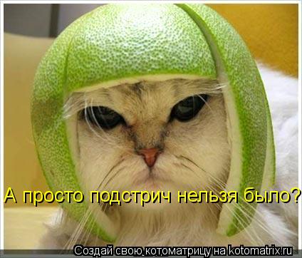 А просто подстрич нельзя было?... Котоматрица: А просто подстрич нельзя было?