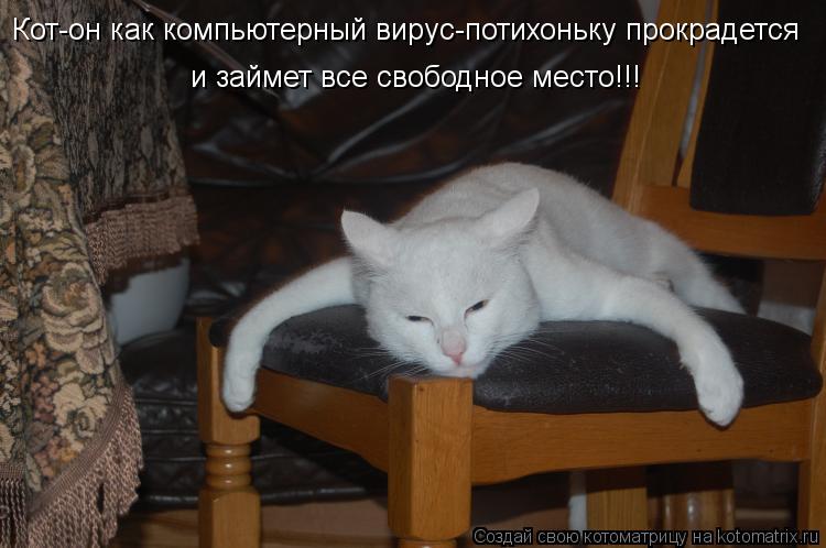 Кот-он как компьютерный вирус-потихоньку прокрадется и займет все свободное место!!!... Котоматрица: Кот-он как компьютерный вирус-потихоньку прокрадется и займет все свободное место!!!