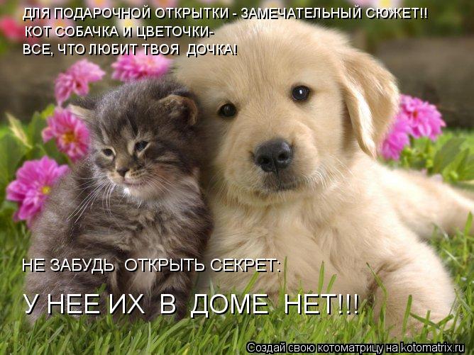 ДЛЯ ПОДАРОЧНОЙ ОТКРЫТКИ - ЗАМЕЧАТЕЛЬНЫЙ СЮЖЕТ!! КОТ СОБАЧКА И ЦВЕТОЧКИ- ВСЕ, ЧТО ЛЮБИТ ТВОЯ ДОЧКА! ... Котоматрица: ДЛЯ ПОДАРОЧНОЙ ОТКРЫТКИ - ЗАМЕЧАТЕЛЬНЫЙ СЮЖЕТ!! КОТ СОБАЧКА И ЦВЕТОЧКИ- ВСЕ, ЧТО ЛЮБИТ ТВОЯ ДОЧКА! НЕ ЗАБУДЬ ОТКРЫТЬ СЕКРЕТ: У НЕЕ ИХ В ДОМЕ