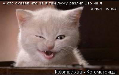 А кто сказал что эт я там лужу разлил.Это не я а моя попка... Котоматрица: А кто сказал что эт я там лужу разлил.Это не я а моя попка