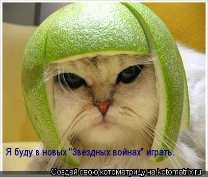 Я буду в новых "Звездных войнах" играть.... Котоматрица: Я буду в новых "Звездных войнах" играть.