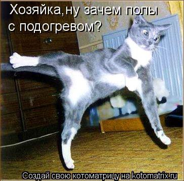 Хозяйка,ну зачем полы с подогревом?... Котоматрица: Хозяйка,ну зачем полы с подогревом?