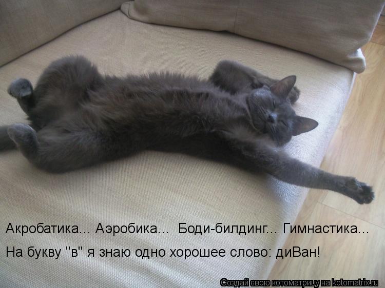На букву "в" я знаю одно хорошее слово: диВан! Акробатика... Аэробика... Боди-билдинг... Гимнастика.... Котоматрица: На букву "в" я знаю одно хорошее слово: диВан! Акробатика... Аэробика... Боди-билдинг... Гимнастика...