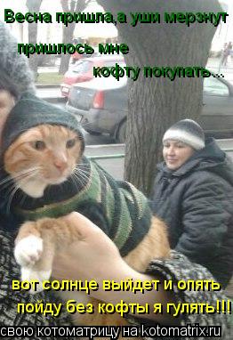 Весна пришла,а уши мерзнут кофту покупать... пришлось мне вот солнце выйдет и опять пойду без кофты ... Котоматрица: Весна пришла,а уши мерзнут кофту покупать... пришлось мне вот солнце выйдет и опять пойду без кофты я гулять!!!