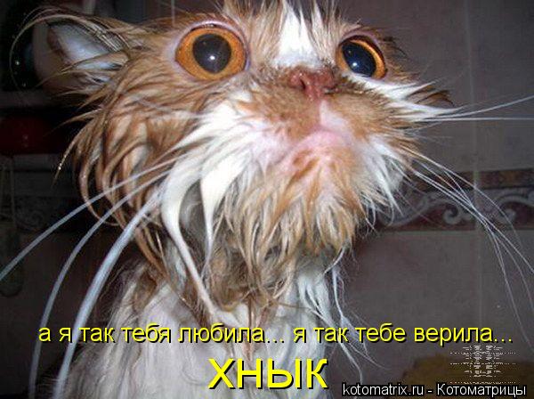 а я так тебя любила... я так тебе верила... хнык... Котоматрица: а я так тебя любила... я так тебе верила... хнык