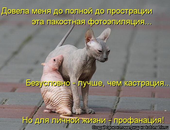 Довела меня до полной до прострации эта пакостная фотоэпиляция... Безусловно - лучше, чем кастрация.... Котоматрица: Довела меня до полной до прострации эта пакостная фотоэпиляция... Безусловно - лучше, чем кастрация... Но для личной жизни - профанация!