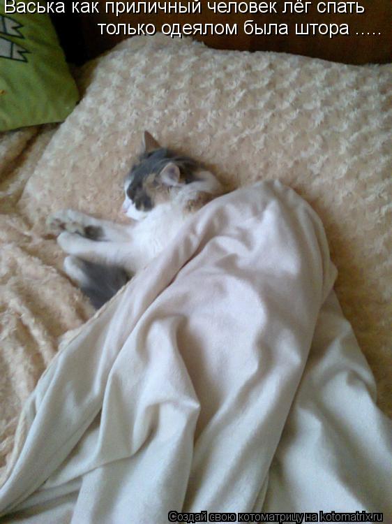 Котоматрица: Васька как приличный человек лёг спать только одеялом была штора .....