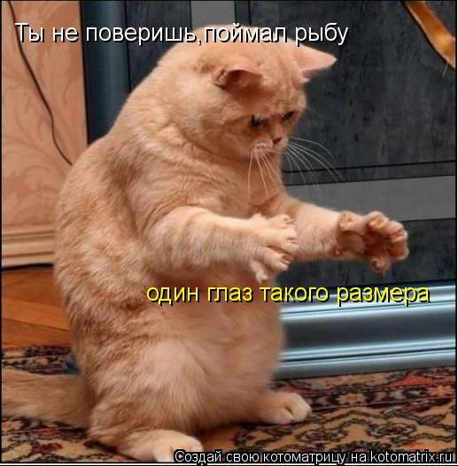 Ты не поверишь,поймал рыбу один глаз такого размера... Котоматрица: Ты не поверишь,поймал рыбу один глаз такого размера